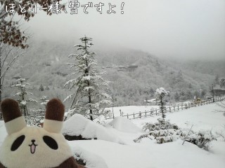 ほとりー様、雪ですよ！